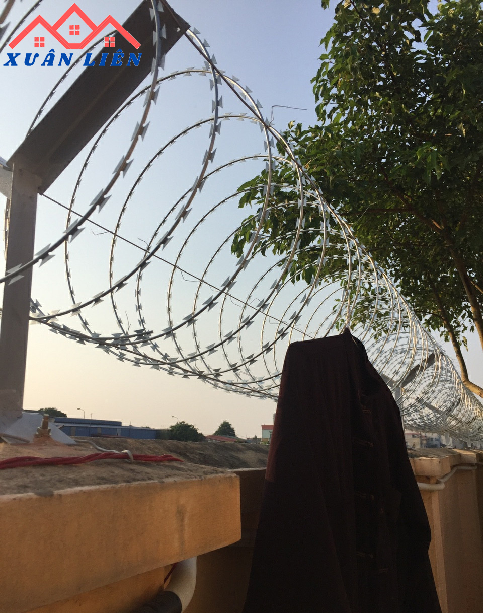 Thi công dây thep gai